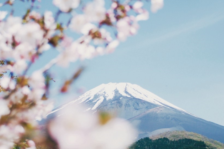 日本 价格 池州 芜湖环雅留学